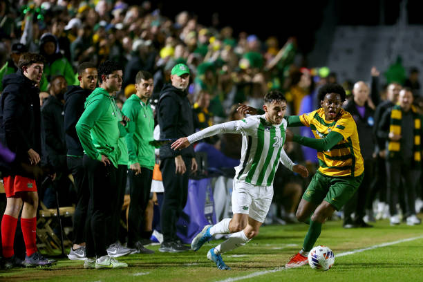 新的表现形 新的表现形