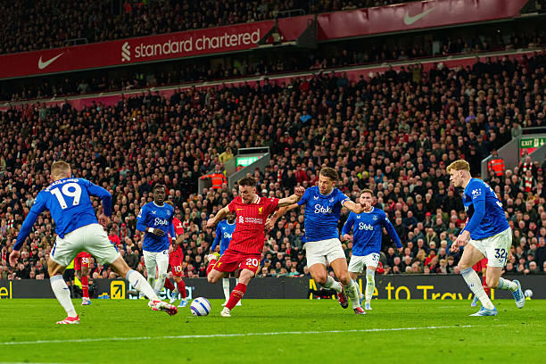 速度与观赏 速度与观赏